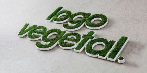 letters formed by moss