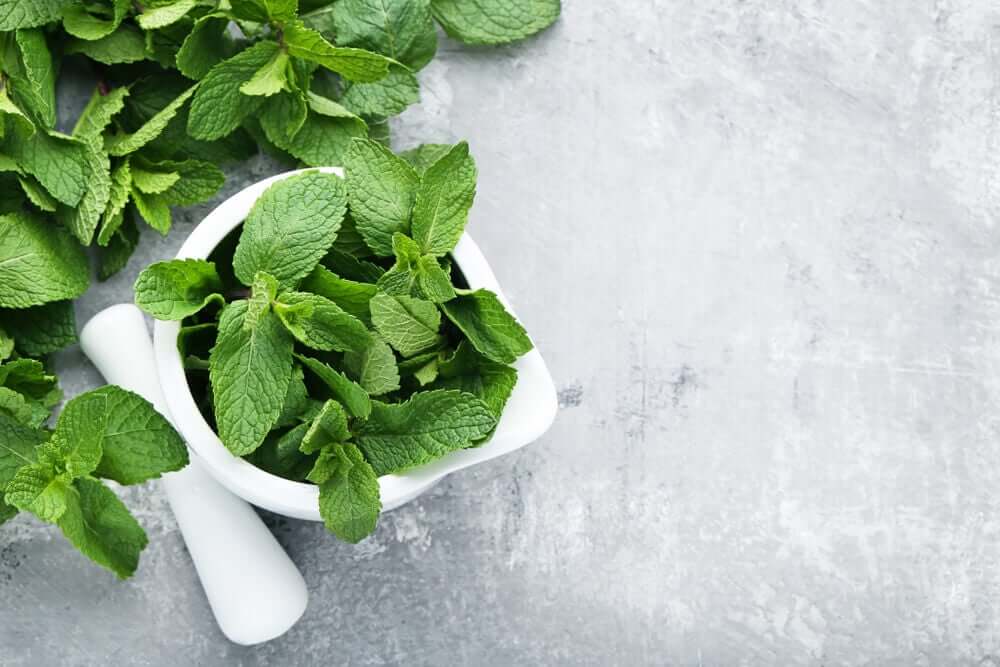 A bowl of mint on a countertop.