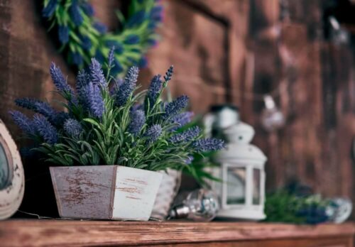 Wildflowers in a pot.