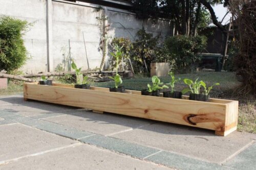 Some types of planters are wooden.