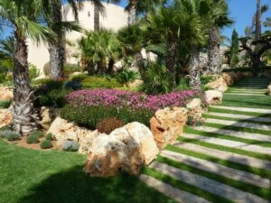 A Mediterranean garden.