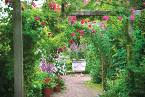 A second English garden.