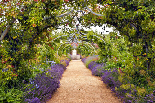 A Mediterranean or An English Garden?