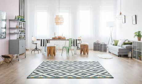A rug with a geometric pattern is the best option for a blank canvas living room