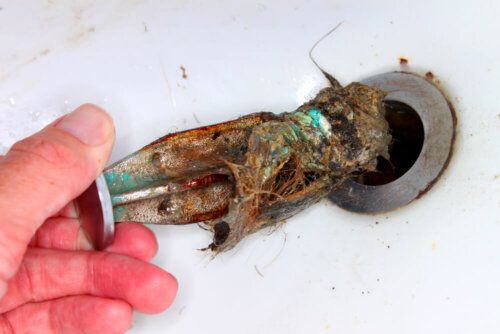A bath drain with hair and debris.