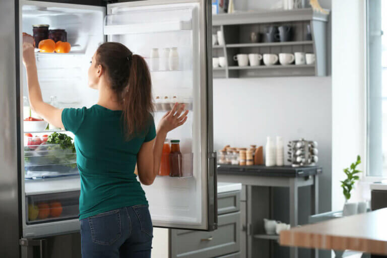 The Most Energy Efficient Refrigerators on the Market