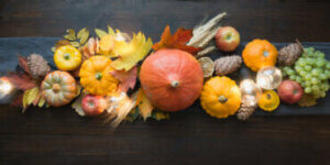 Decorating With Dried Fruit and Veg - a World of Possibilities