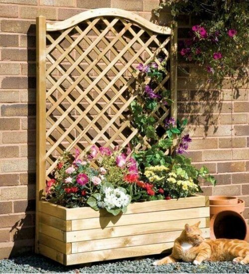 A trellis for plants.