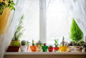 Fun Ideas to Decorate the Windows in Your House