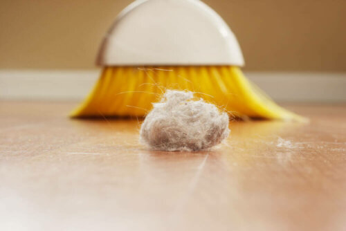 Broom sweeping up a ball of dust