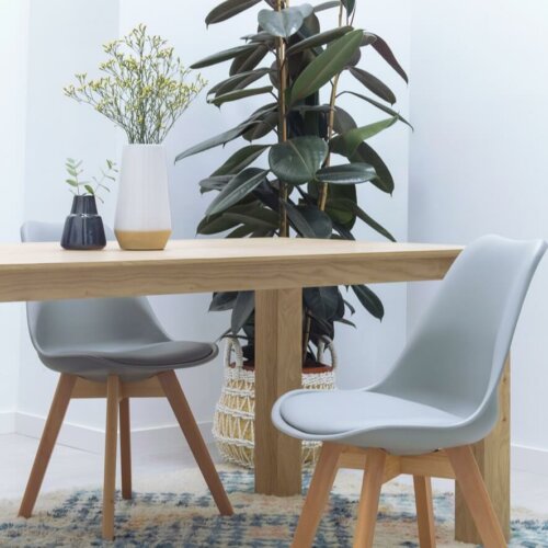 A wood table with chairs and a plant.