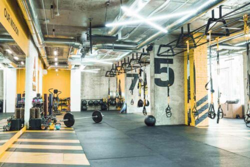 Main Resources to Decorate a Gym