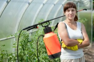 How to Keep Your Plants Free From Pests and Disease