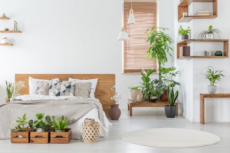 Using plants to create a more elegant home.
