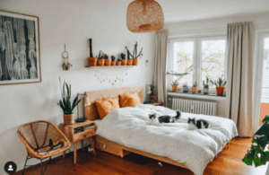 Nick's Urban Jungle, @cottoncandystories.