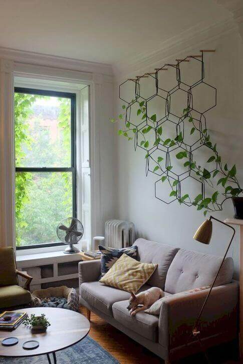 Climbers in a living room.