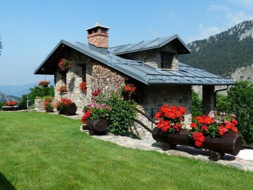 There are some flowers you can use in the garden for summer.
