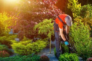 5 Tips to Prepare Your Garden For Summer
