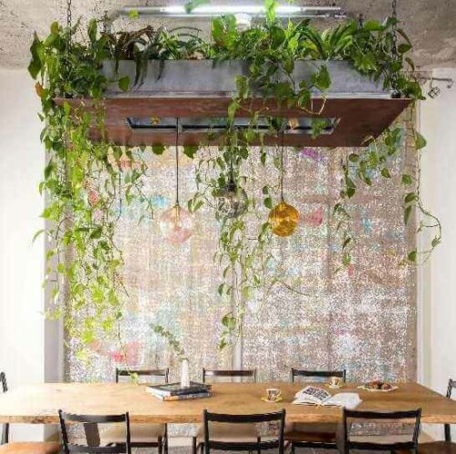 Ideas to Decorate with Hanging Plants