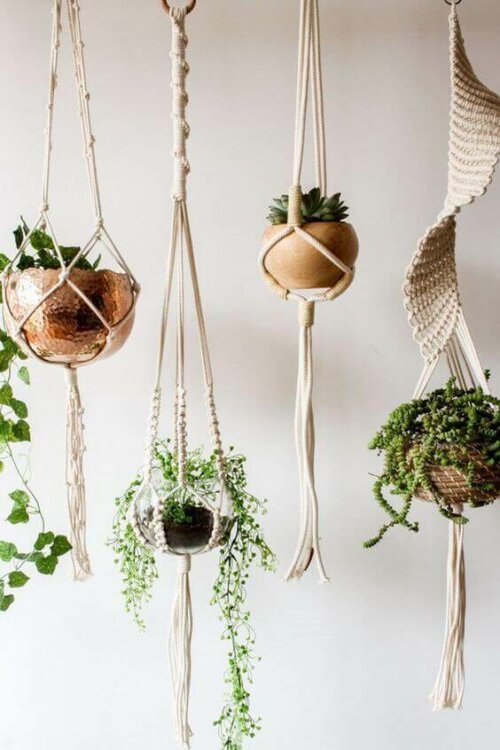 Hanging plants and macramé.