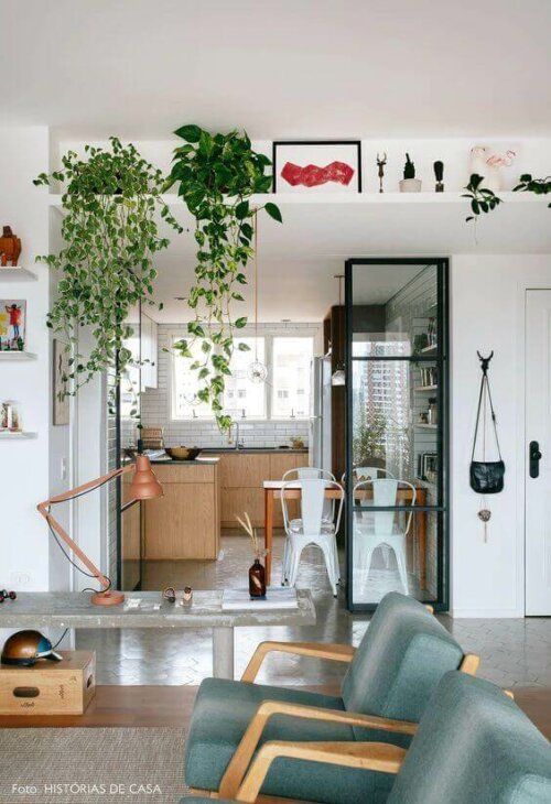 A house decorated with plants.