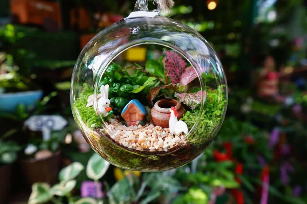 Japanese miniature garden.