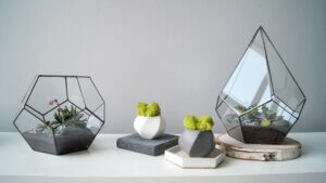 How to Make a Miniature Garden