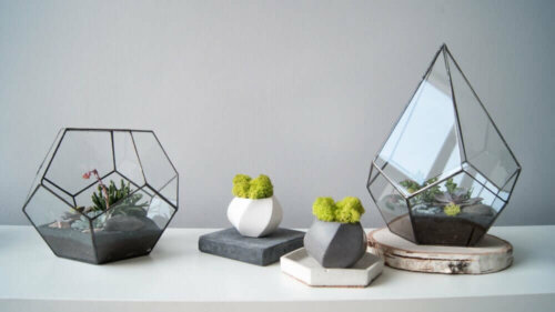 How to Make a Miniature Garden