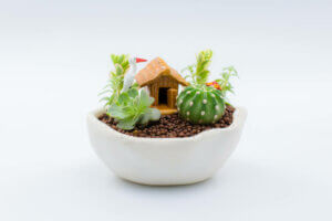 A miniature garden.
