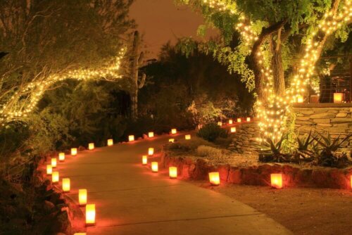 Outdoor lighting lining a path.