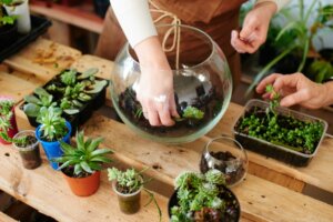 Planting a miniature garden.