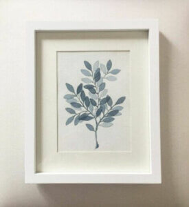 Botanical illustrations.