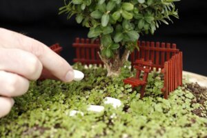 Stones in a miniature garden.