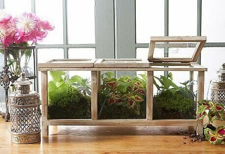 Learn to Make a Terrarium with These 5 Tips