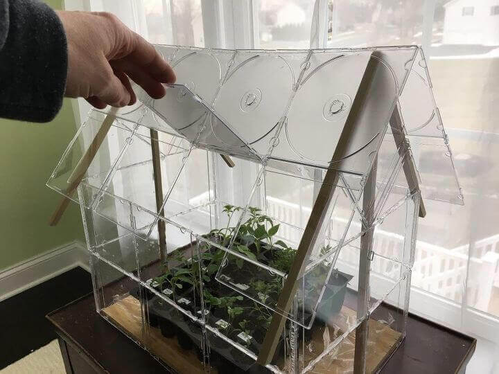 Glass terrarium shaped like a small house.