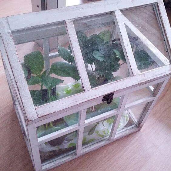 A terrarium with plants inside