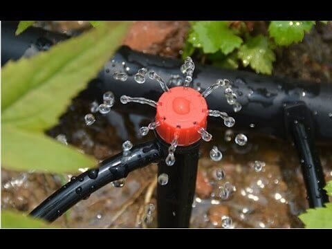 A leak in a lawn watering system.