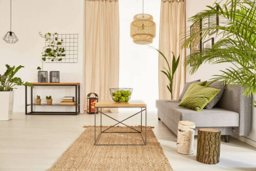 A living room with a lot of plants.