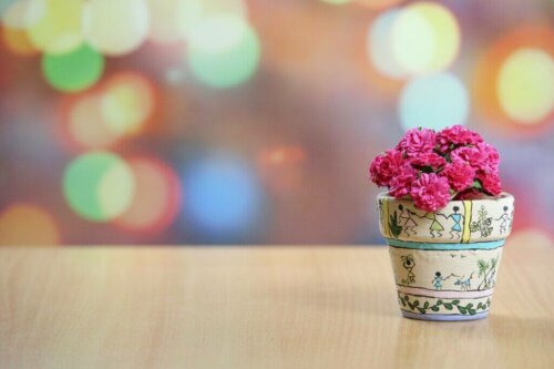 The Prettiest Pots for Decorating Your Home