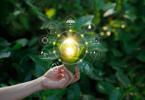A person holding a lightbulb plant showing ways to reduce energy consumption.