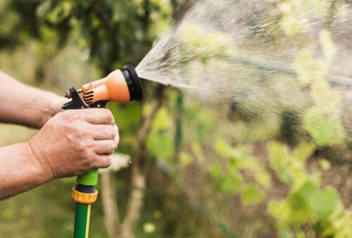 A person watering their plants.
