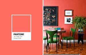 The Warmth and Delicacy of the Color Coral