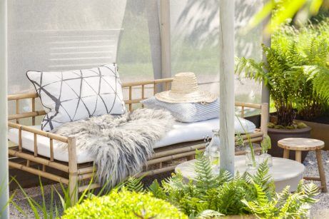 A porch with many ferns