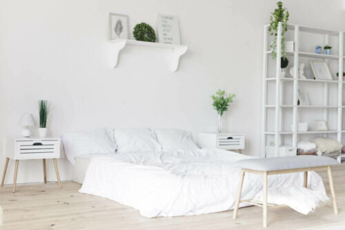Five Outside the Box Decoration Ideas