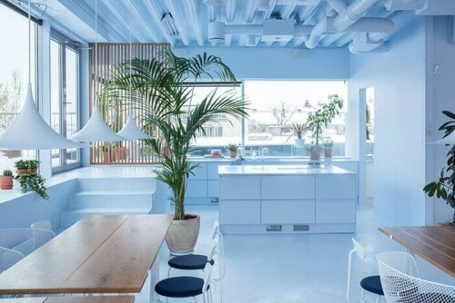 Sky blue in the kitchen.