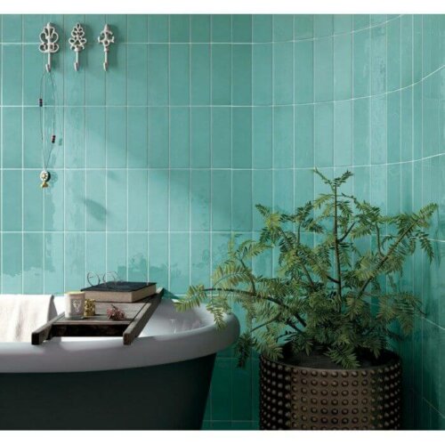A bathroom with a plant.