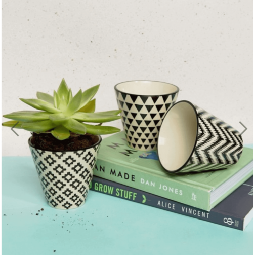 A plant in a pot and some pots on some books.