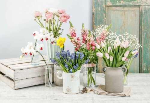 Some flowers you can liven up your home with.