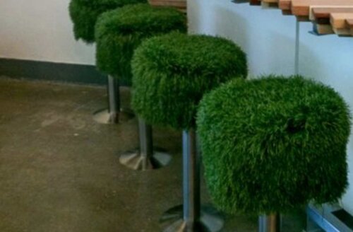 Some fuzzy green bar stools.