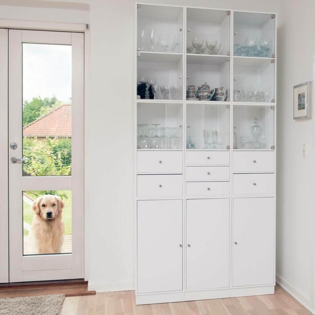 Display Cases Are In Do You Have One?